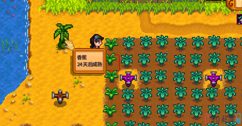 星露谷物语里要怎么成功种植苹果树？