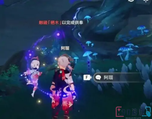 原神栖木位置大全，在哪里找到它们？