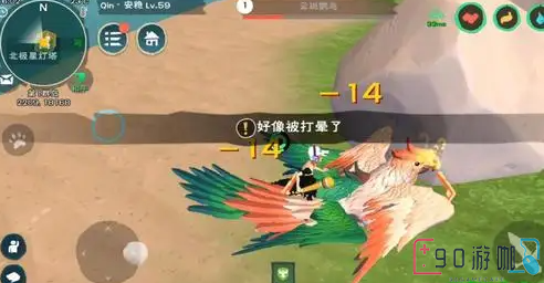 创造与魔法云斑鹦鸟常去的地点有哪些？