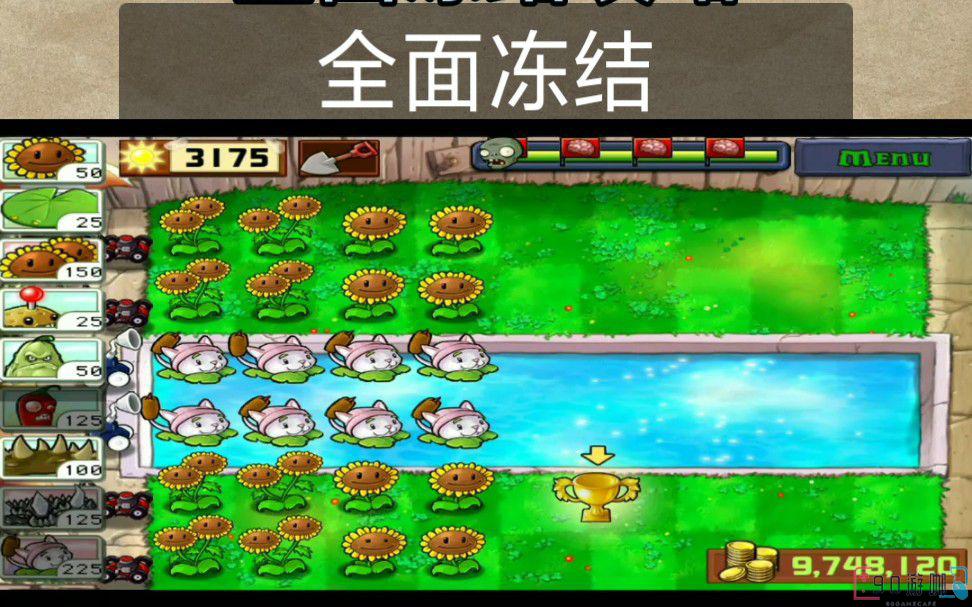 植物大战僵尸全面冻结8关卡教程，附具体游戏攻略
