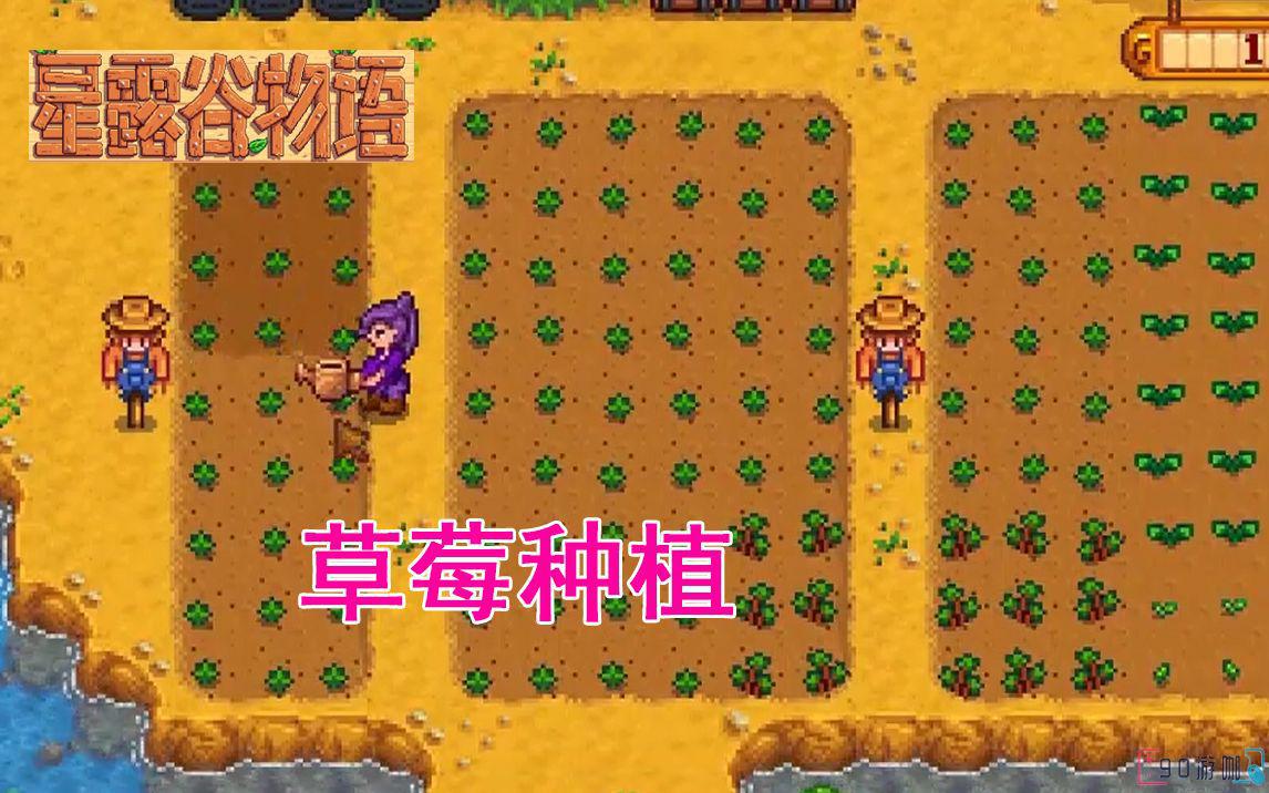 盘点星露谷物语种草莓的好处，其中70%的玩家都不知道