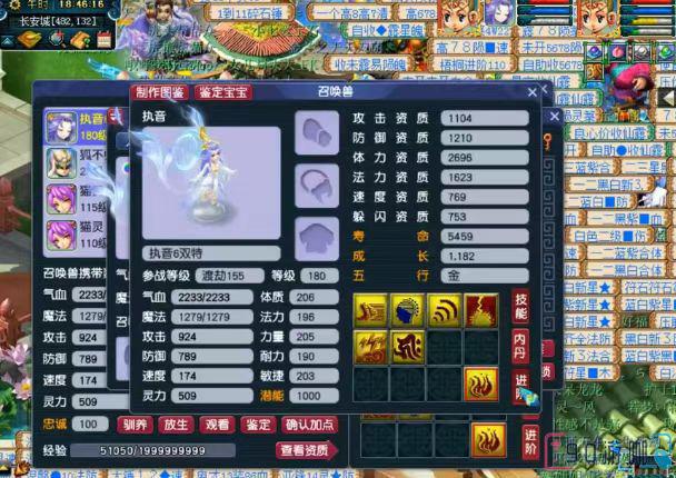 梦幻西游宠物进阶至110级需要掌握哪些关键技巧？