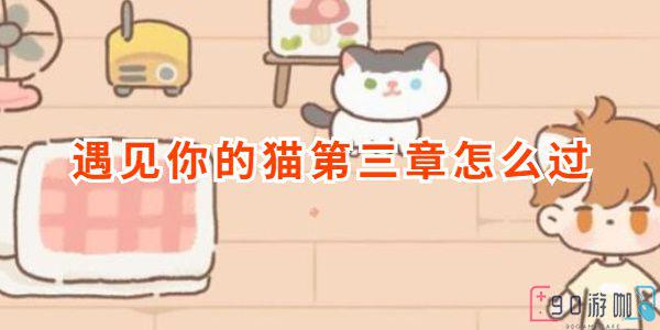 遇见你的猫第三章怎么过
