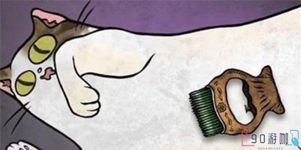 猫博物馆刷猫毛怎么刷
