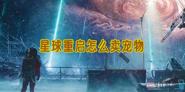 星球重启宠物交易指南，如何成功出售你的宠物