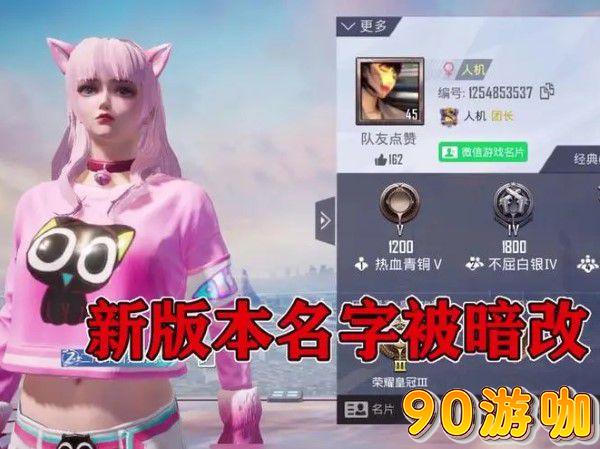 和平精英独一无二的名称